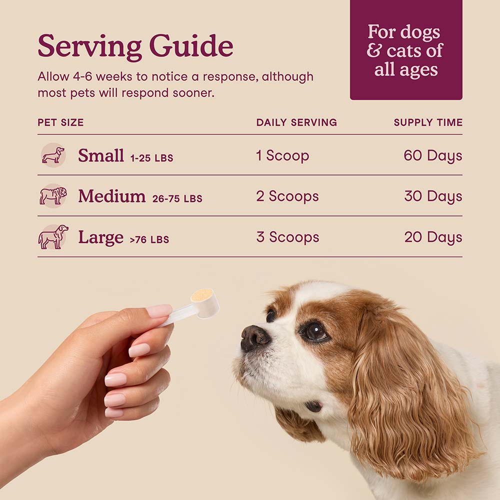 Fera Pets Bladder Support Supplement Powder For Cats & Dogs 2.16oz
