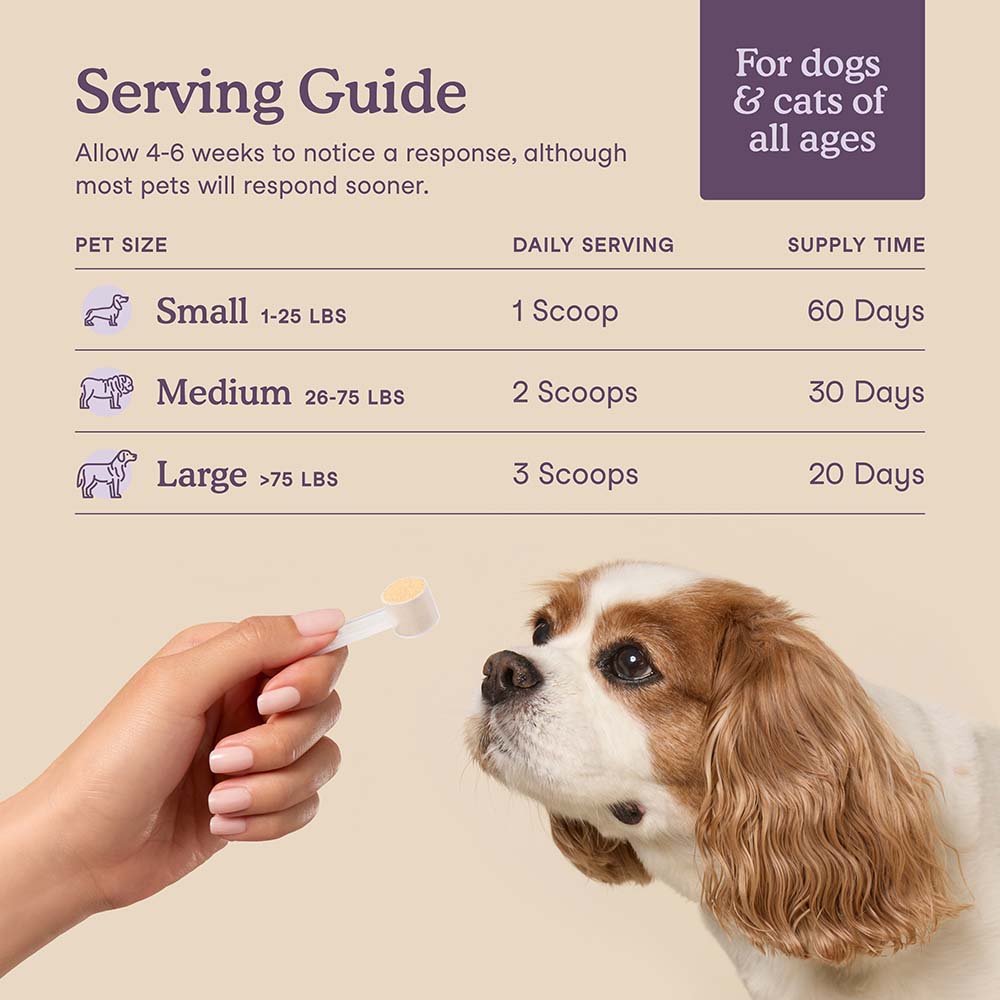 Fera Pets Calming Support Supplement Powder For Cats & Dogs 2.5oz