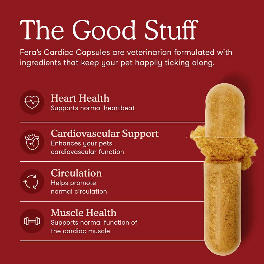 Fera Pets Cardiac Support Supplement For Cats & Dogs 60caps