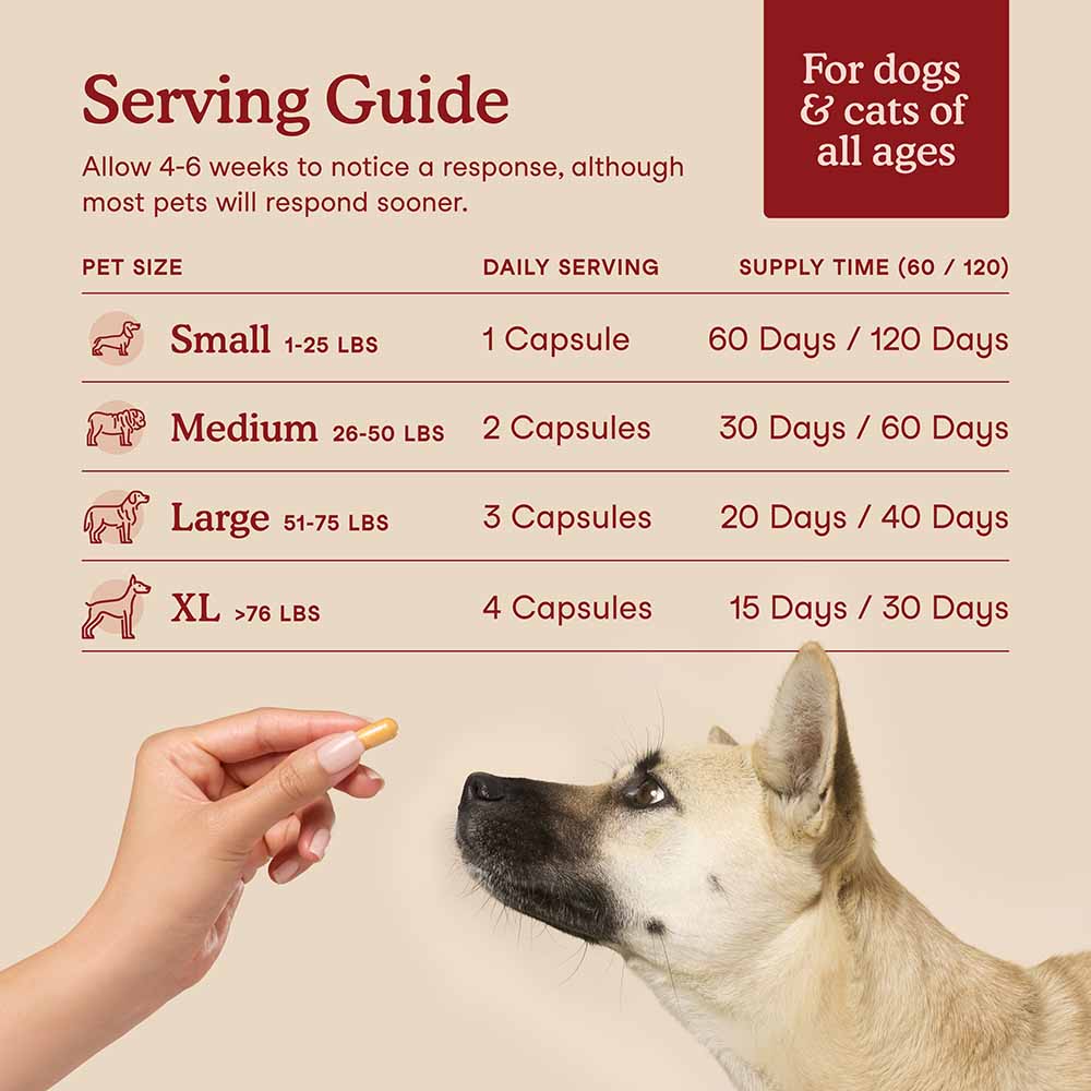 Fera Pets Cardiac Support Supplement For Cats & Dogs 60caps
