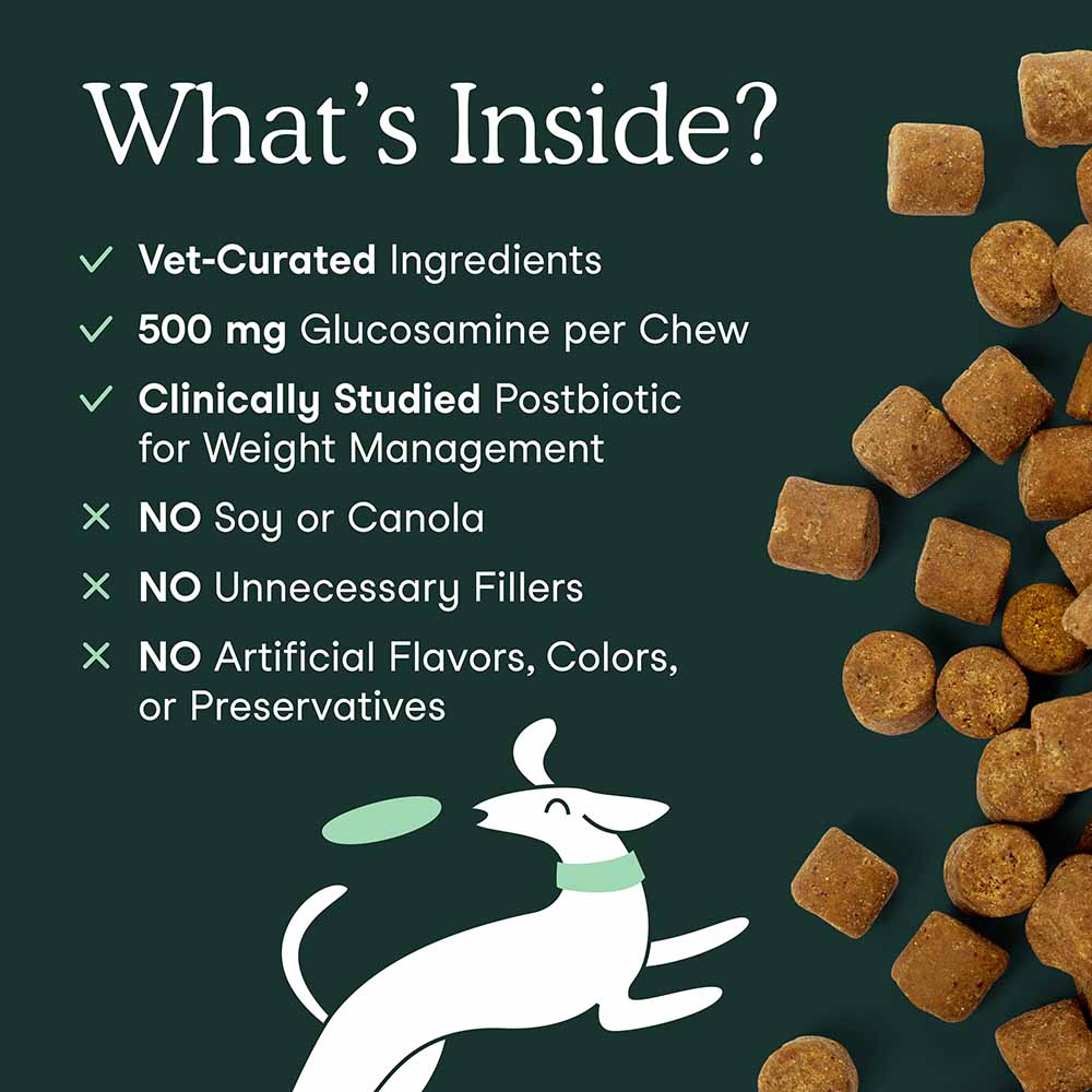 Fera Pets Hip + Joint Dog Supplement Chews 90ct