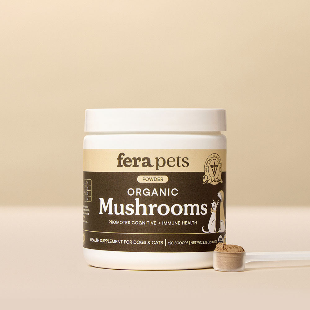 Fera Pets Organic Mushrooms Immune Support Supplement Powder For Cats & Dogs 2.12oz