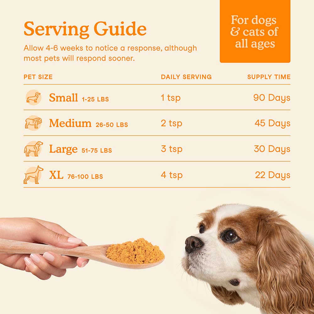 Fera Pets Organic Pumpkin Plus Fiber Support Supplement Powder For Cats & Dogs 8oz