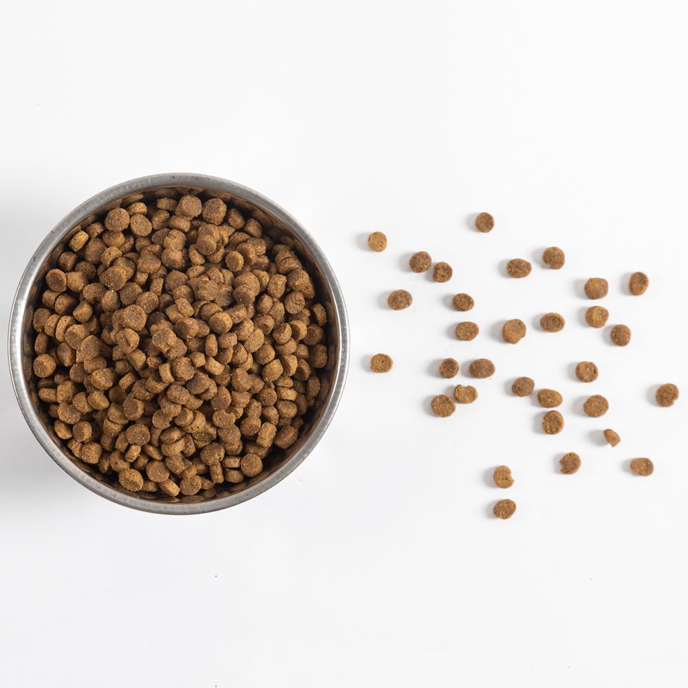 Riplee's Ranch Chicken Grain-Free Dry Cat Food 4lb